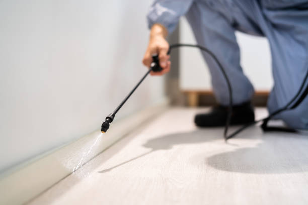 Certified termite inspector examining foundation in Steiner Ranch